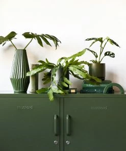 Mustard Lockers Mustard Lowdown Locker