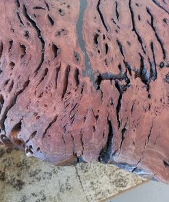 Darcy Designs Coffee Tables Red Gum Burl Coffee Table