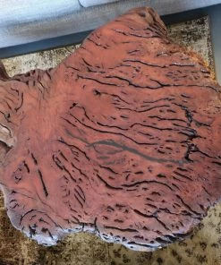 Darcy Designs Coffee Tables Red Gum Burl Coffee Table