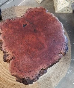 Darcy Designs Coffee Tables Red Gum Burl Coffee Table