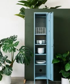 Home Page Mustard Skinny Locker