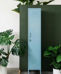 Home Page Mustard Skinny Locker