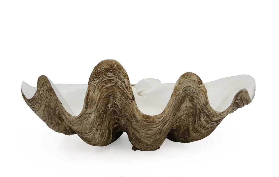 Sunrise Polyresin Clam Homewares 1 Sunrise Polyresin Clam Homewares
