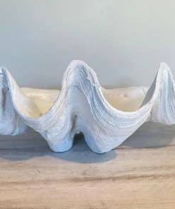 Sunrise Polyresin Clam Homewares