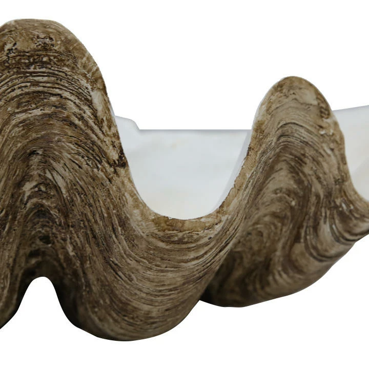 Sunrise Polyresin Clam Homewares 3 Sunrise Polyresin Clam Homewares