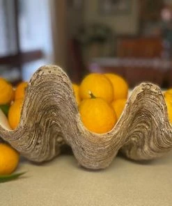 Sunrise Polyresin Clam Homewares 15 Sunrise Polyresin Clam Homewares