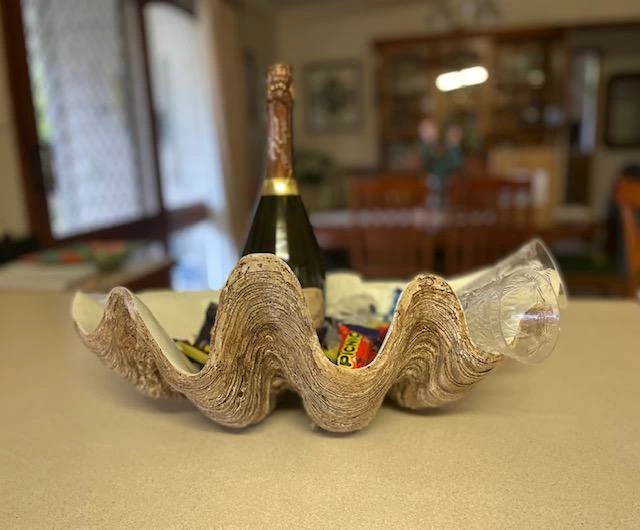 Sunrise Polyresin Clam Homewares 5 Sunrise Polyresin Clam Homewares