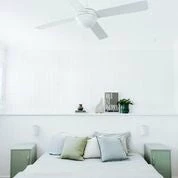 Mustard Shorty Locker Mustard Lockers