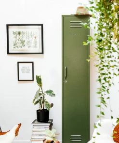 Home Page Mustard Skinny Locker